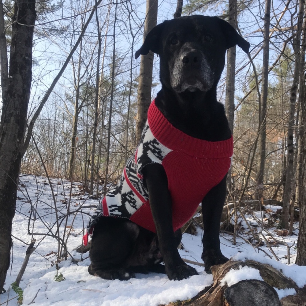 Meet your Posher, Meredith